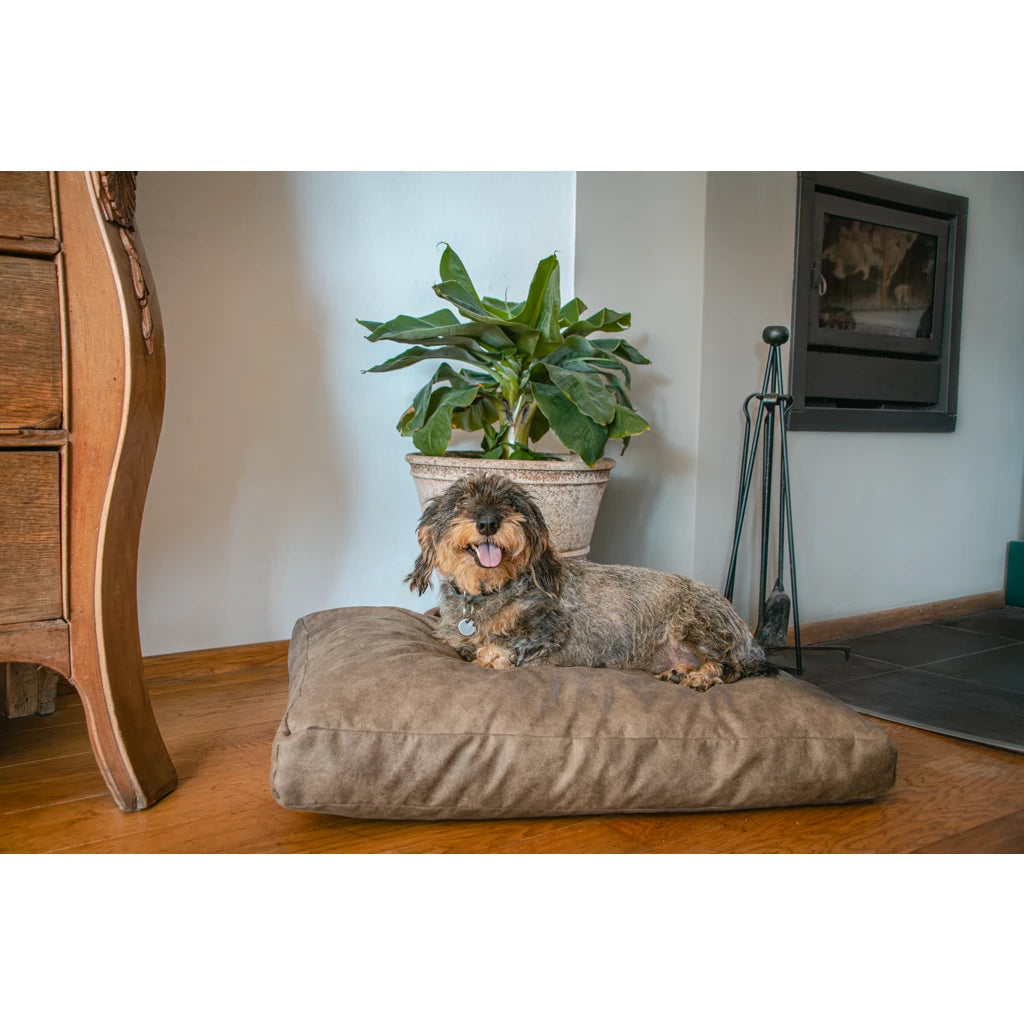 Plush Pillow