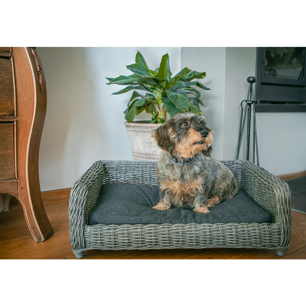 Cozy Basket Rieten Hondenmand M Antraciet