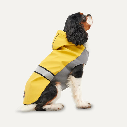 Reflective Hooded Raincoat