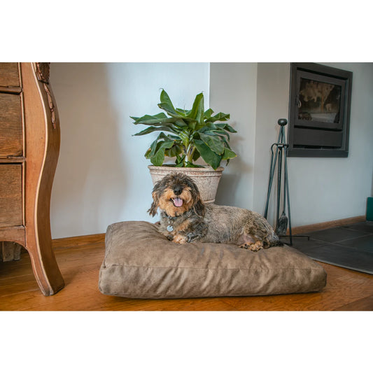 Plush Pillow
