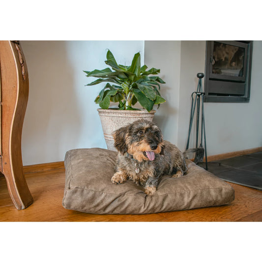 Plush Pillow