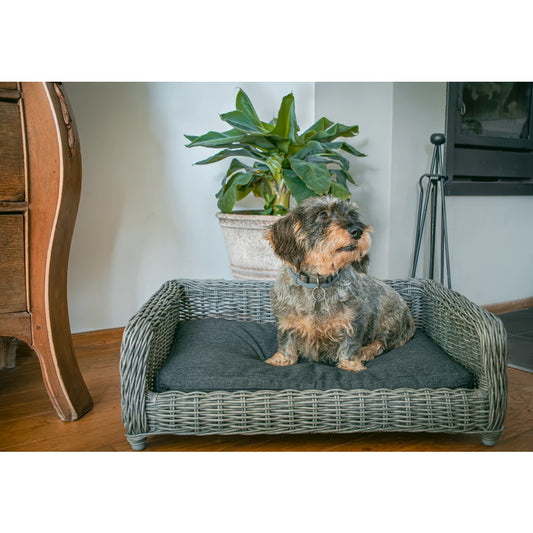 Cozy Basket Rieten Hondenmand M Antraciet